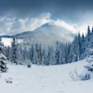 Meet your Posher, Victor